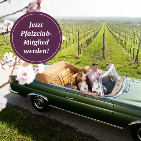 Pfalzclub-Mitglied werden