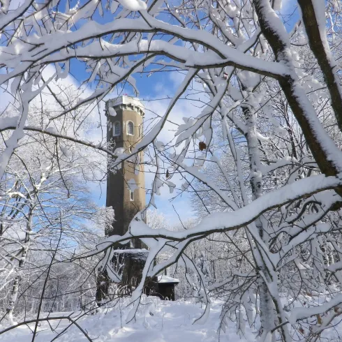 Der Ludwigsturm auf dem Donnersberg im Winter