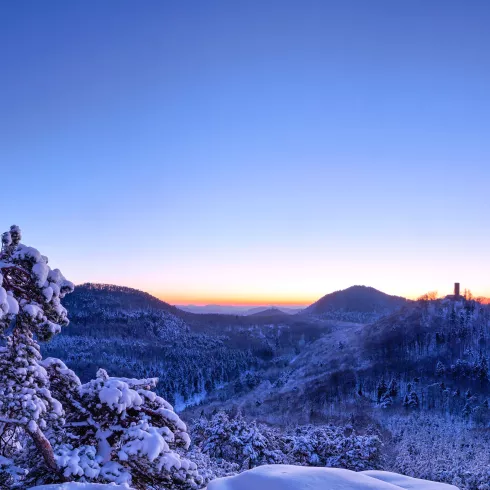 Panoramausblick über den verschneiten Pfälzerwald