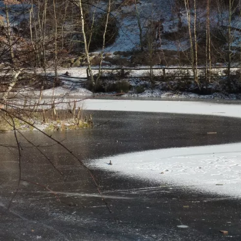 Ungeheuersee im Winter