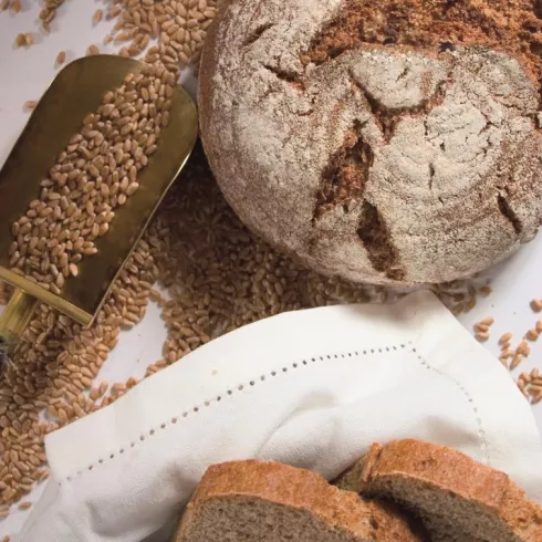 Neue Genusswelten beim Zusammenspiel von Brot und Wein