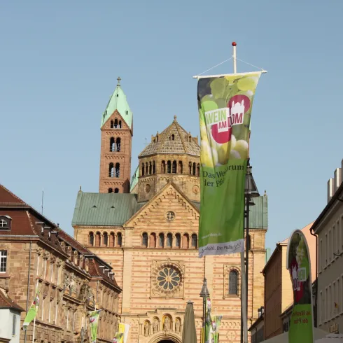 Wein am Dom