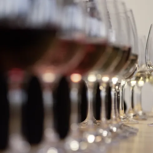 Frankfurt International Trophy