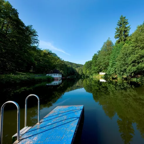 Der Bärenlochweiher in Kindsbach im Pfälzerwald