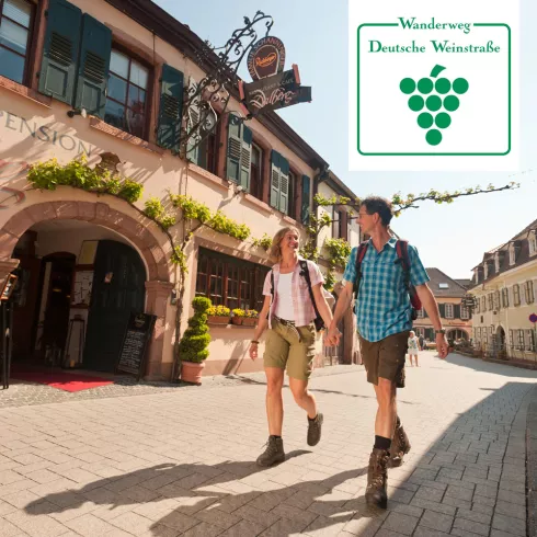 Logo und Bild Wanderweg Deutsche Weinstraße Logo und Bild Wanderweg Deutsche Weinstraße
