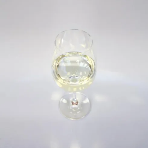 Weinprobe Verkostung