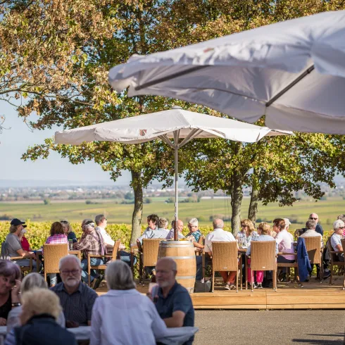 vinothek neueröffnung umbau