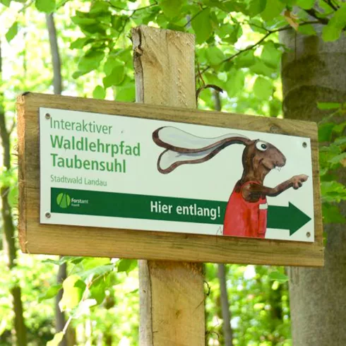 Logo Der Hase weist den Weg durch den Waldlehrpfad (© Pfalz.Touristik e.V. Foto: Malin Frank) Logo Der Hase weist den Weg durch den Waldlehrpfad