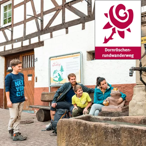 Dornröschen Rundwanderweg am Froschkönigbrunnen (© Pfalz.Touristik e.V. Foto: Dominik Ketz) Dornröschen Rundwanderweg am Froschkönigbrunnen