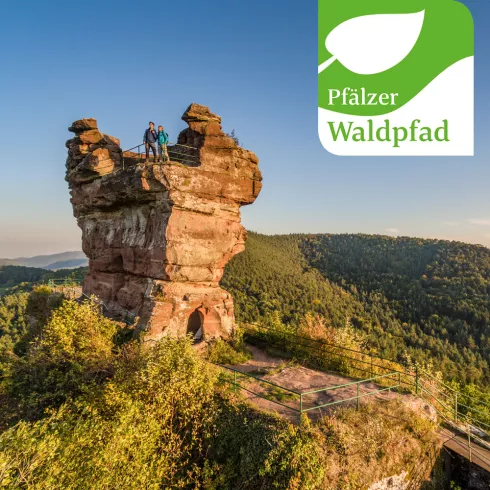 Pfälzer Waldpfad am Drachenfels (© Pfalz.Touristik e.V., Foto: Dominik Ketz) Pfälzer Waldpfad am Drachenfels
