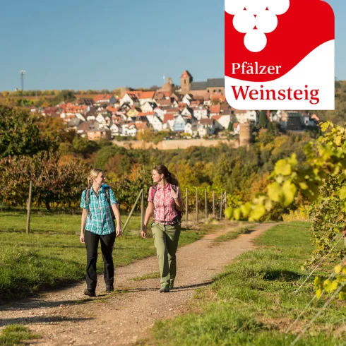 Pfälzer Weinsteig mit Blick auf Neuleiningen (© Pfalz.Touristik e.V., Foto: Dominik Ketz) Pfälzer Weinsteig mit Blick auf Neuleiningen