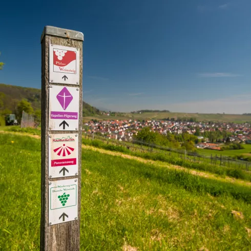 Pfälzer Weinsteig Wegeschild