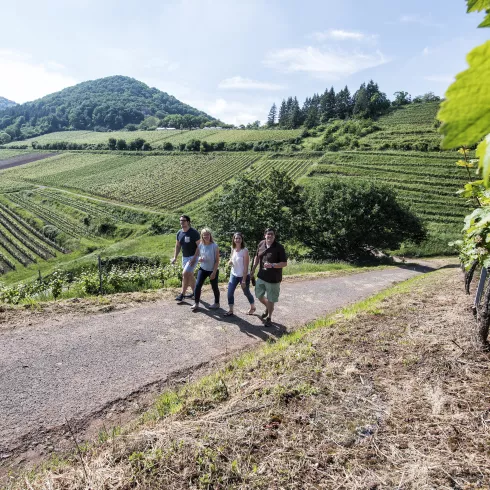 Genusswandern in der Pfalz