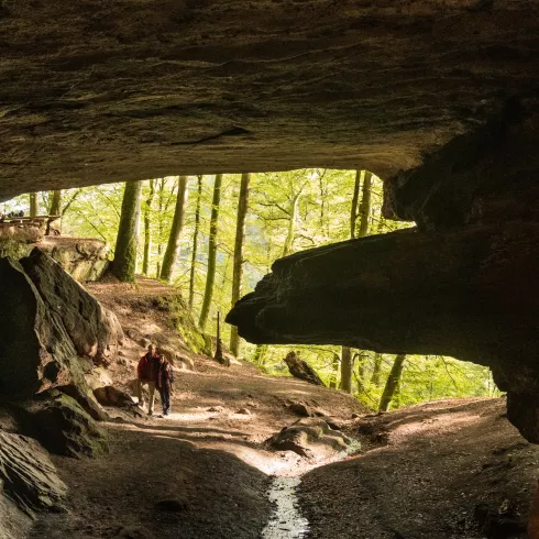 Eingang Bärenhöhle bei Rodalben