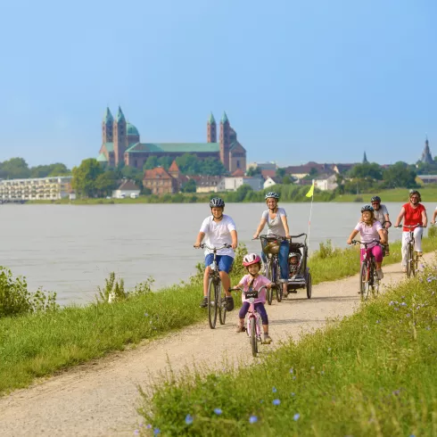Radfahren auf dem Rheinradweg bei Speyer
