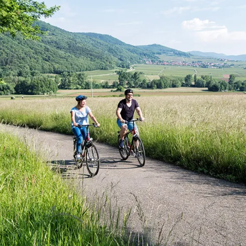Fahrad fahren an der Südlichen Weinstraße 