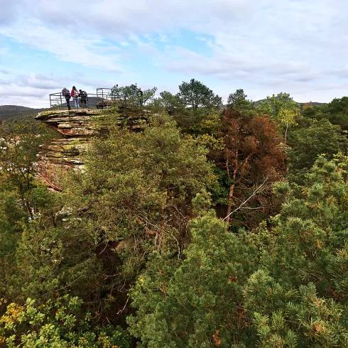 Drohnenansicht Felsformation Pfälzerwald bei Dahn