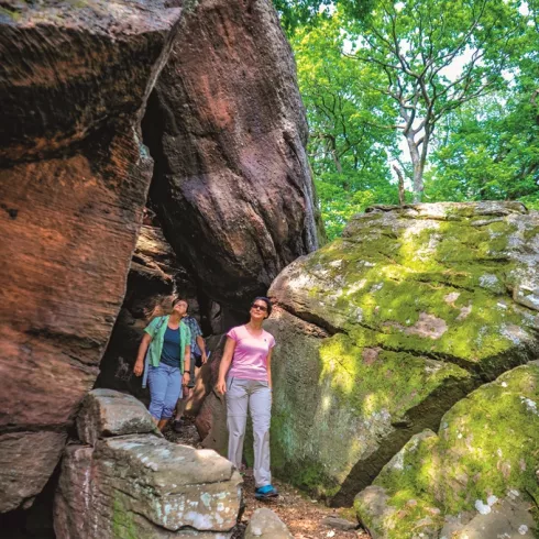 Heidenfelslandschaft (© Urlaubsregion Freinsheim) Heidenfelslandschaft