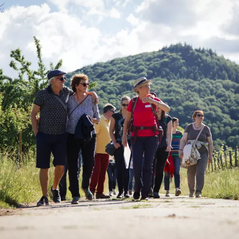 Genusstour Leinsweiler durch die Weinberge