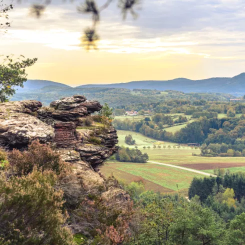 Geiersteine-Tour bei Hauenstein, Ausblick auf Fels und Wald