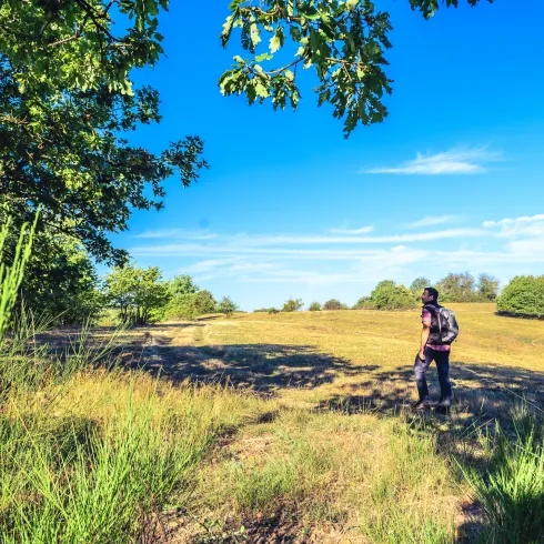 Einsamer Wanderer auf dem Veldenz Wanderweg genießt die Ruhe