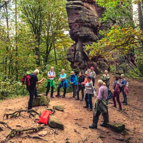 Unberührte Natur rund um das Hotel Felsentor in Hauenstein