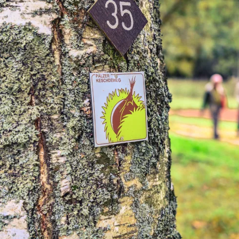 Wanderer auf dem Pälzer Keschdeweg