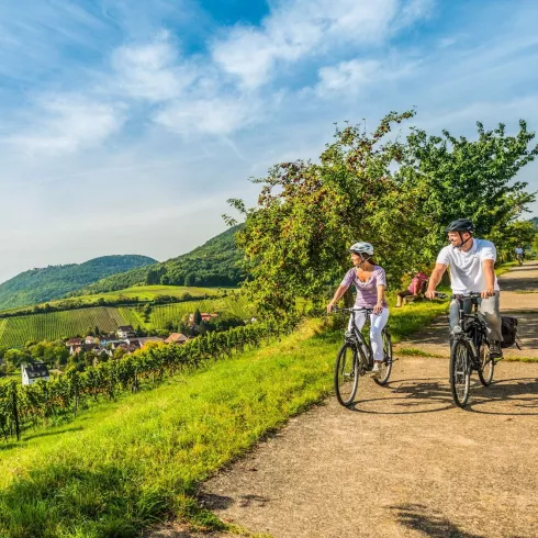 Weinreisen in der Pfalz