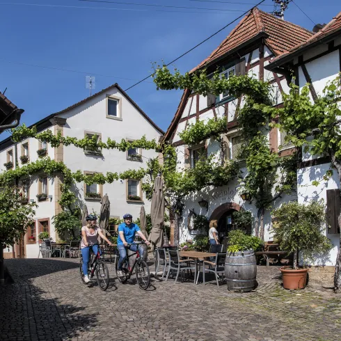 Pfälzer Weinberge & Winzerorte per Rad entdecken