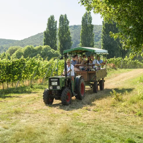 Planwagenfahrt in der Pfalz