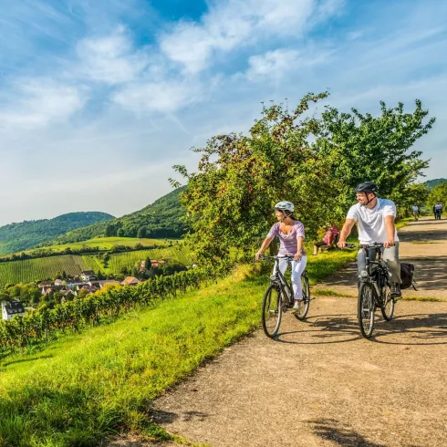 Urlaub an der Deutschen Weinstraße - genussvoll & aktiv