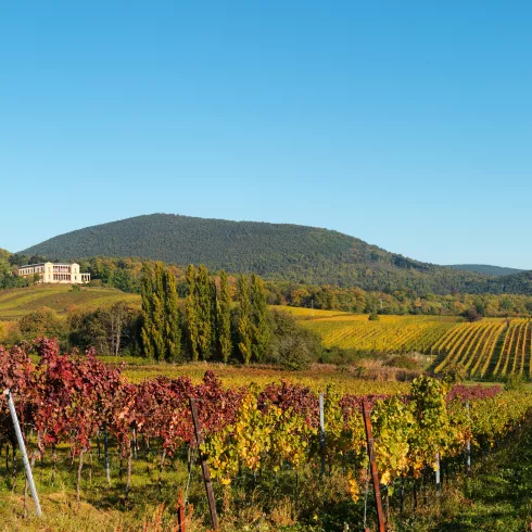 Der Blick auf die Villa Ludwigshöhe in Edenkoben (© ad lumina) Der Blick auf die Villa Ludwigshöhe in Edenkoben