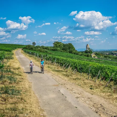 Genussradeln auf dem Zellertal-Radweg