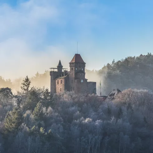 Burg Berwartstein an einem Wintermorgen
