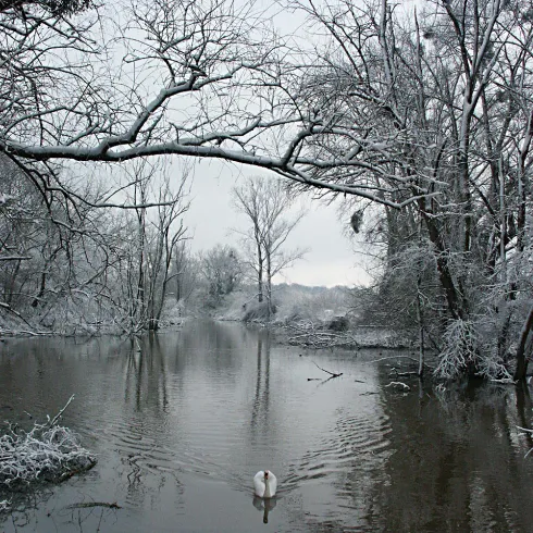Treidlerweg entlang des Rheins im Winter