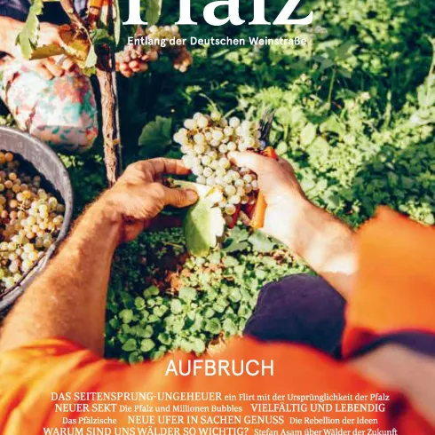 Titelbild des Magazin Weinland Pfalz