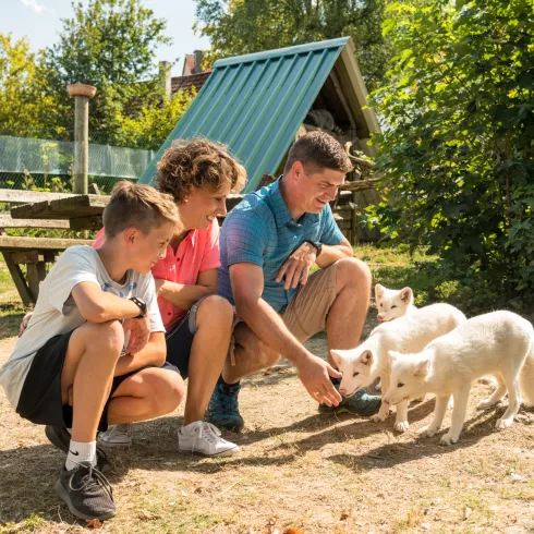 Wildpark Potzberg