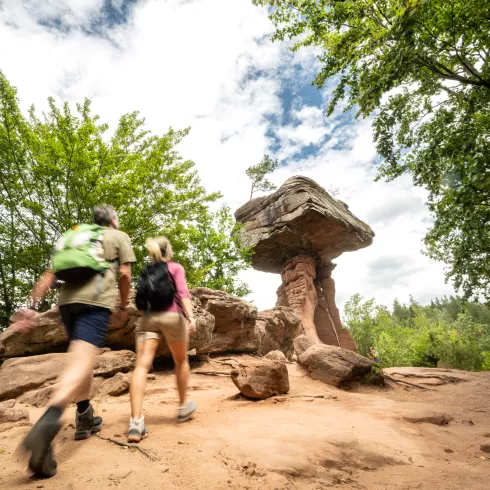 Wandern im Biosphärenreservat Pfälzerwald