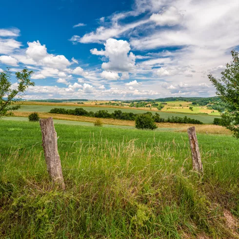 Blick über das Pfälzer Bergland