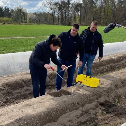 Pfälzer Spargelstich 2021