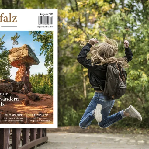 Titelmotiv Teufelstisch Familienwandern Extra Viel Pfalz