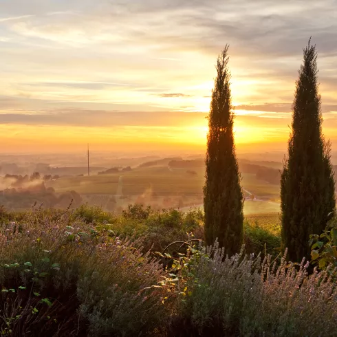 Mediterrane Landschaft Gleiszellen Gleishorbach