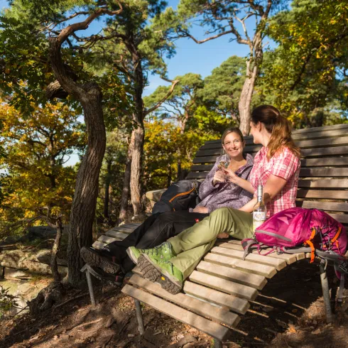 Wanderer beim Wein trinken auf Ruhebank im Pfälzerwald bei Neustadt 
