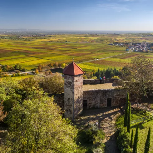 Wanderer auf der Burg Battenberg mit grandiosem Ausblick auf die herbstlichen Weinberge