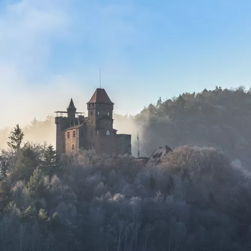 Burg Berwartstein an einem Wintermorgen