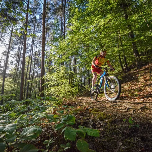 Mountainbikepark