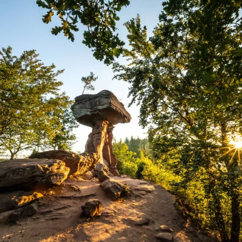 Teufelstisch Felsformation im Pfälzerwald