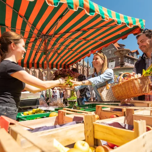 Markt in Neustadt