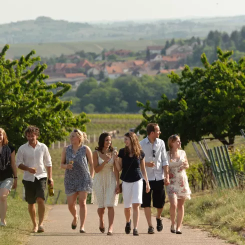 Weinbergswanderung