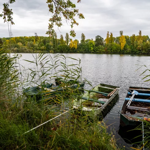 Boote bei Altrip 